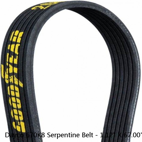 Dayco 670K8 Serpentine Belt - 1.12