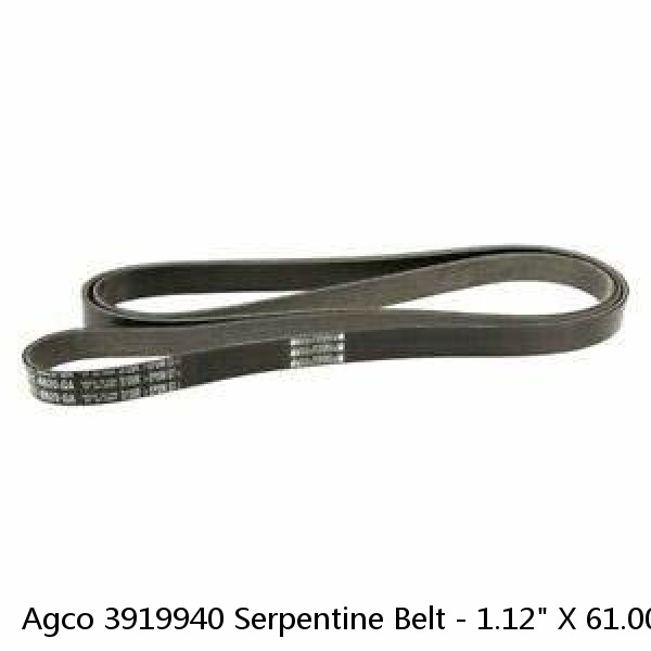 Agco 3919940 Serpentine Belt - 1.12" X 61.00" - 8 Ribs