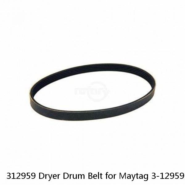 312959 Dryer Drum Belt for Maytag 3-12959 Y312959 LB234 NEW 100" 5 Rib 4 Groove  #1 small image