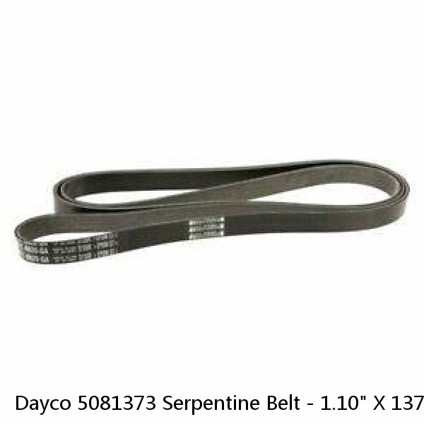 Dayco 5081373 Serpentine Belt - 1.10" X 137.32" - 8 Ribs