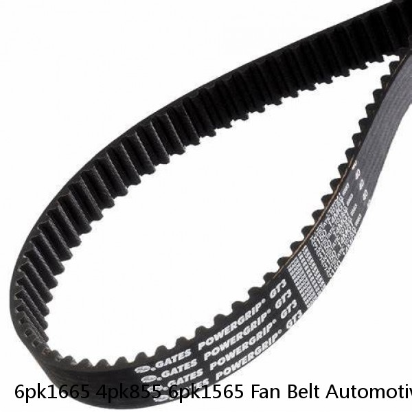 6pk1665 4pk855 6pk1565 Fan Belt Automotive Belt Engine Ribbed Rubber V Belt Fit for Peugeot Car #1 image