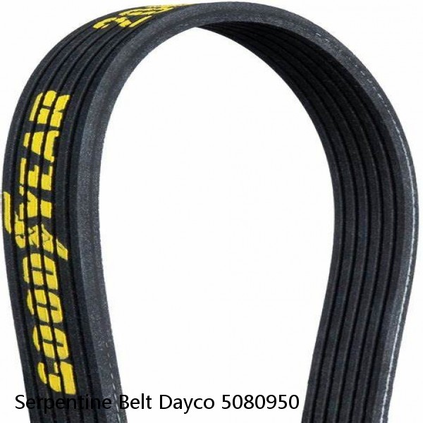 Serpentine Belt Dayco 5080950 #1 image
